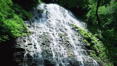 稳定性智能
